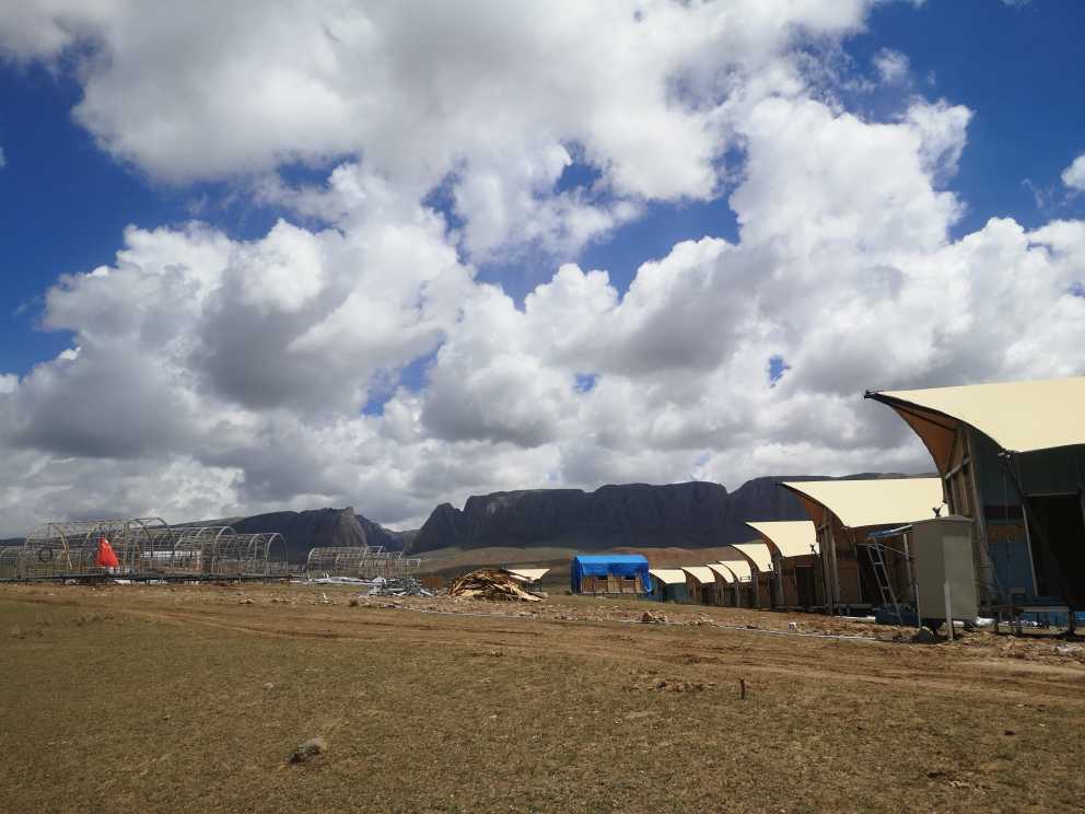 “体育场馆篷房: 舒适、安全与现代感-1