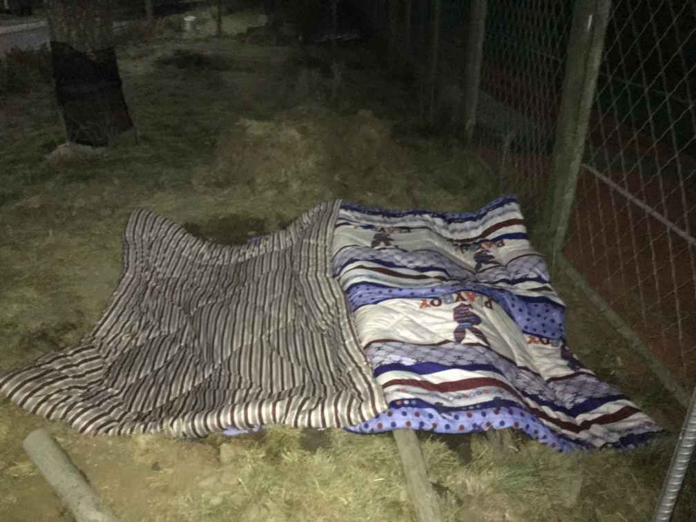 网球场雨棚多少钱？-3